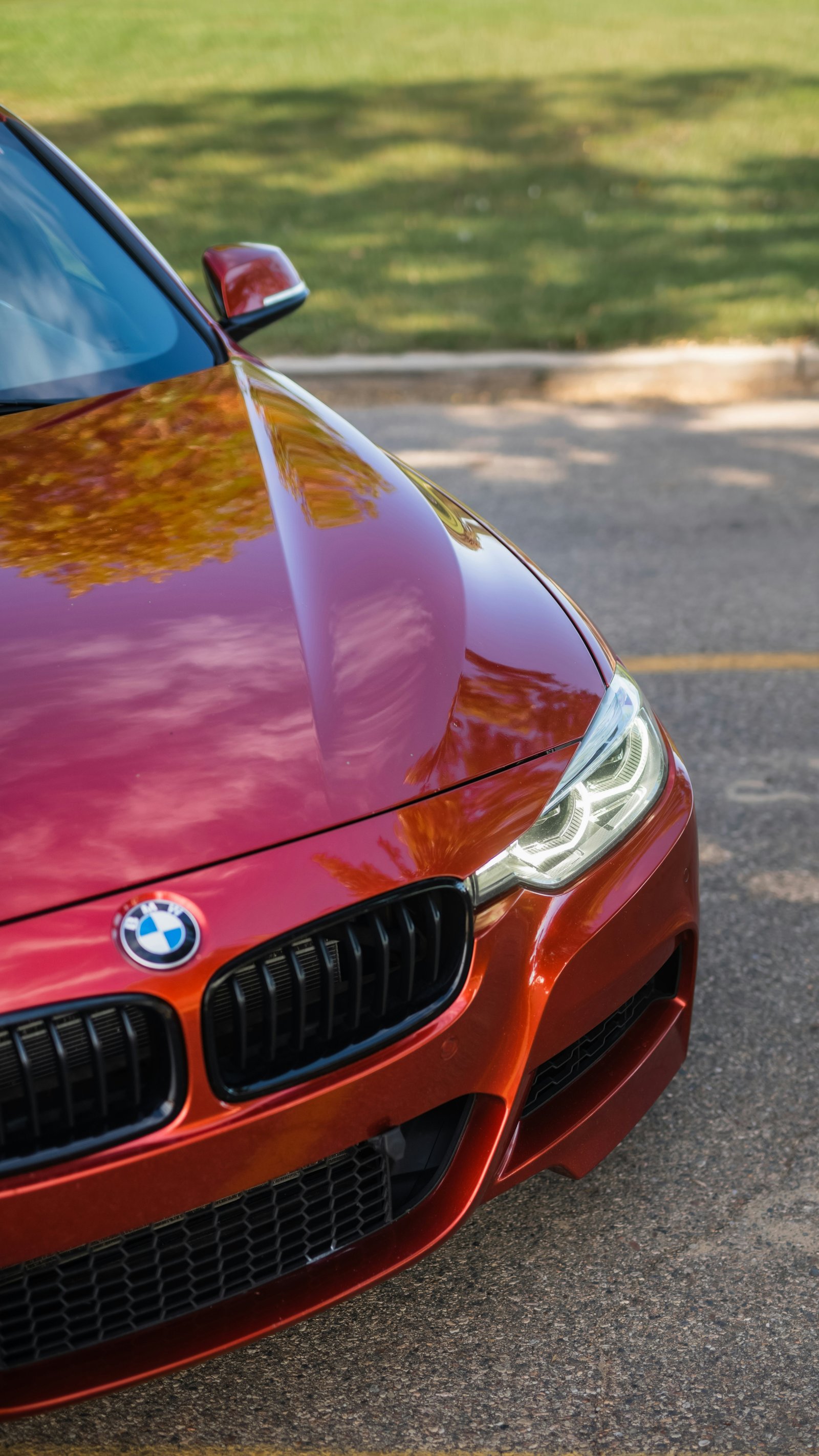 Close up of a gleaming red BMW showing a deep, clean paint finish