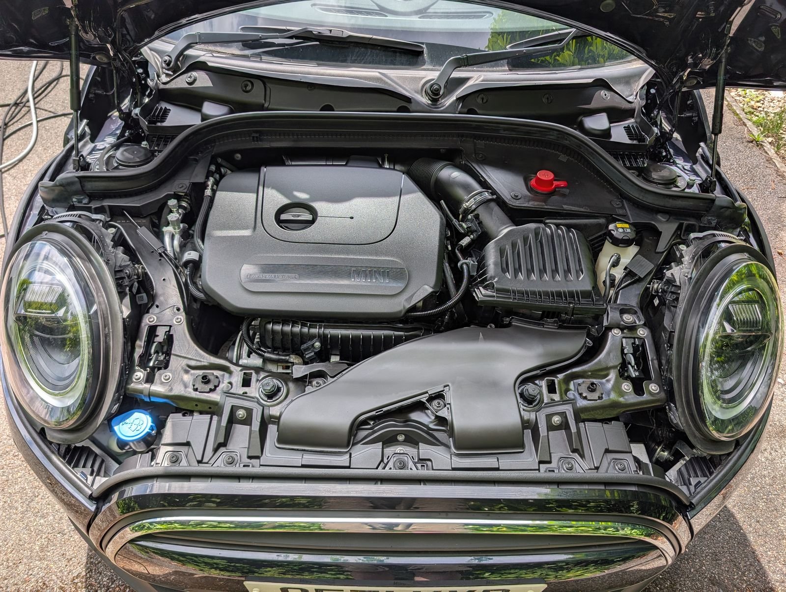 Engine bay after a professional detail