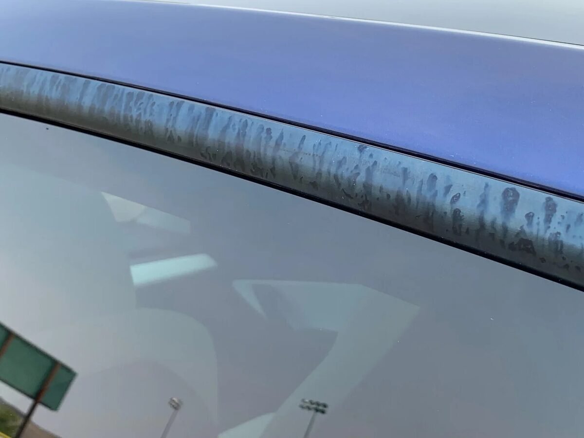 Satin or matte black trim on modern car