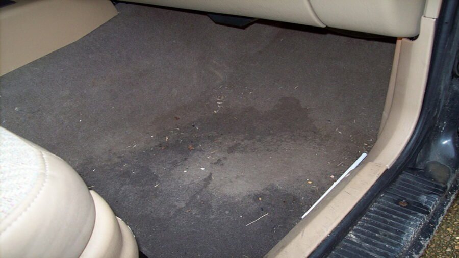 Wet or damp car carpet from a water leak