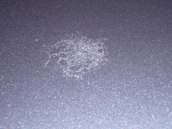 Bird dropping etched into car paintwork