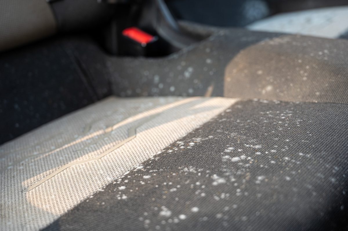 Mould spots on car seat fabric