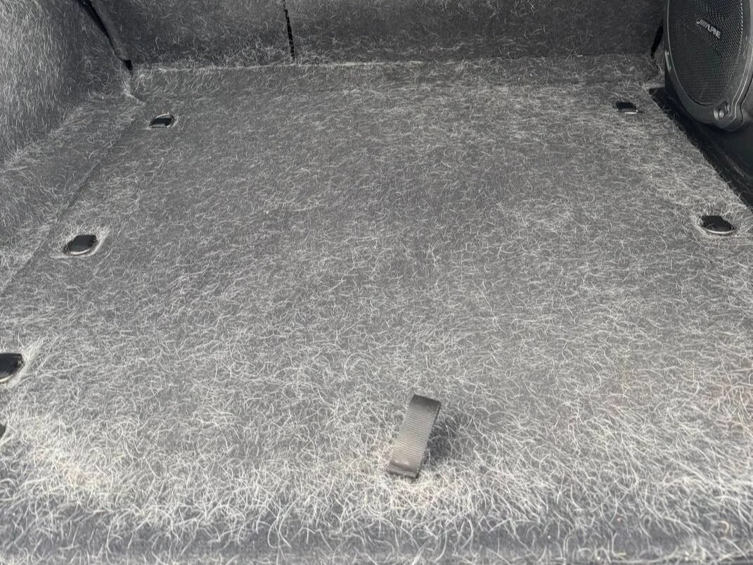 Pet hair embedded in car seat fabric